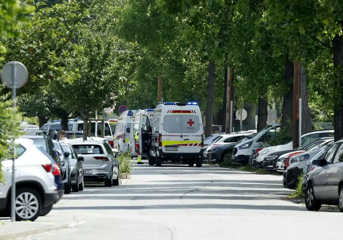 Diez muertos en un tiroteo en una escuela en Austria