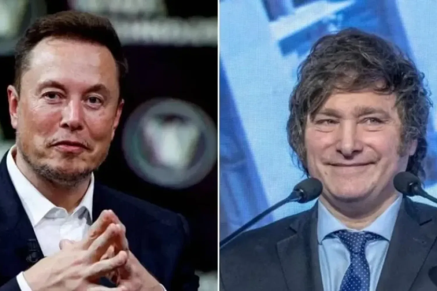 El tuit subido de tono que le dedicó Elon Musk a Javier Milei