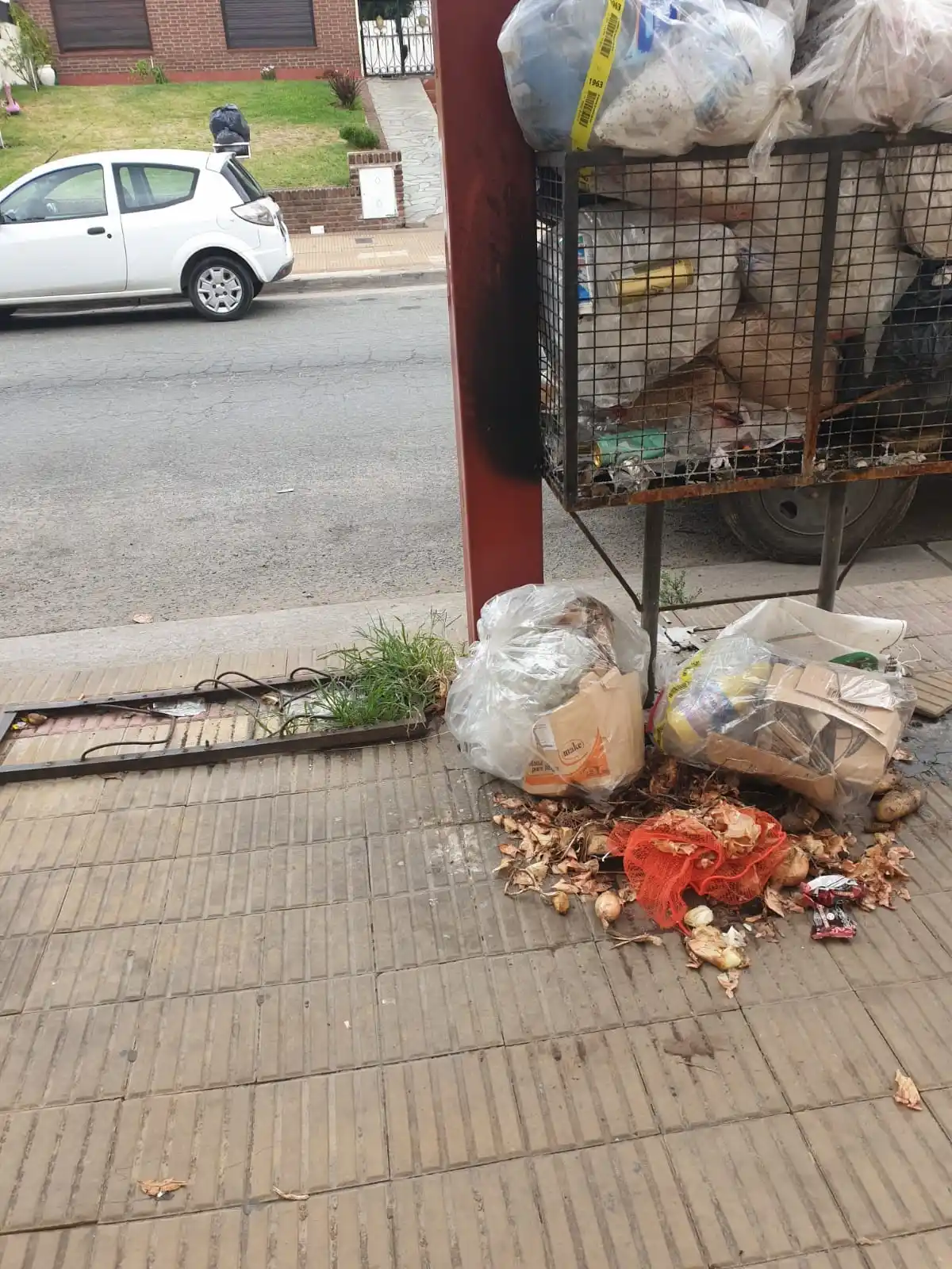 Recolección selectiva