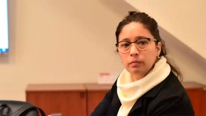 Convierten en ley el proyecto de Rubattino de “Sentencias claras”