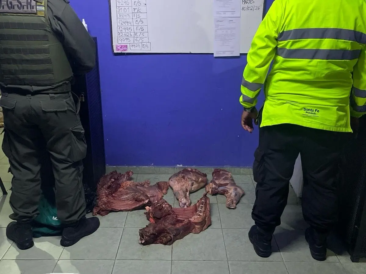 Abigeato: secuestraron cortes de carne de bovino y teléfonos celulares en una investigación en curso