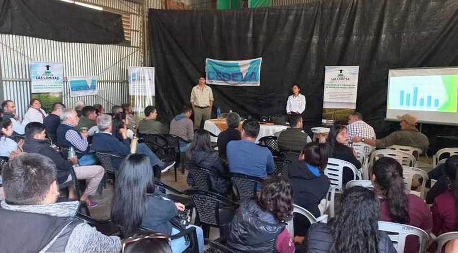 Exponen resultados de trabajos de validación 
en pasturas megatérmicas y manejo del ganado