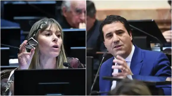 Rechazo sin grieta al veto de Milei por Bahía Blanca: "Es una ley necesaria", coincidieron Abad y Di Tullio en el Senado