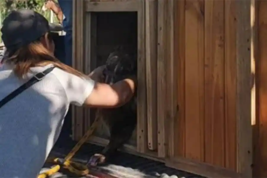 Foto Instagram
</p><p>/ Foto: Instagram