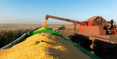 Actividad económica estancada: segundo trimestre en rojo para Argentina