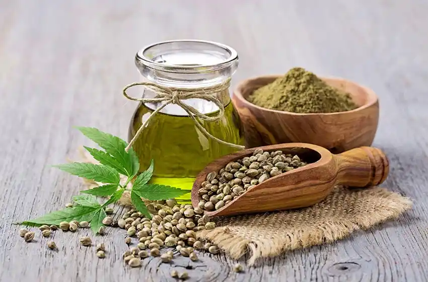 Científicos de la OMS recomiendan «eliminar el cannabis y el aceite de cannabis» de la categoría drogas peligrosas