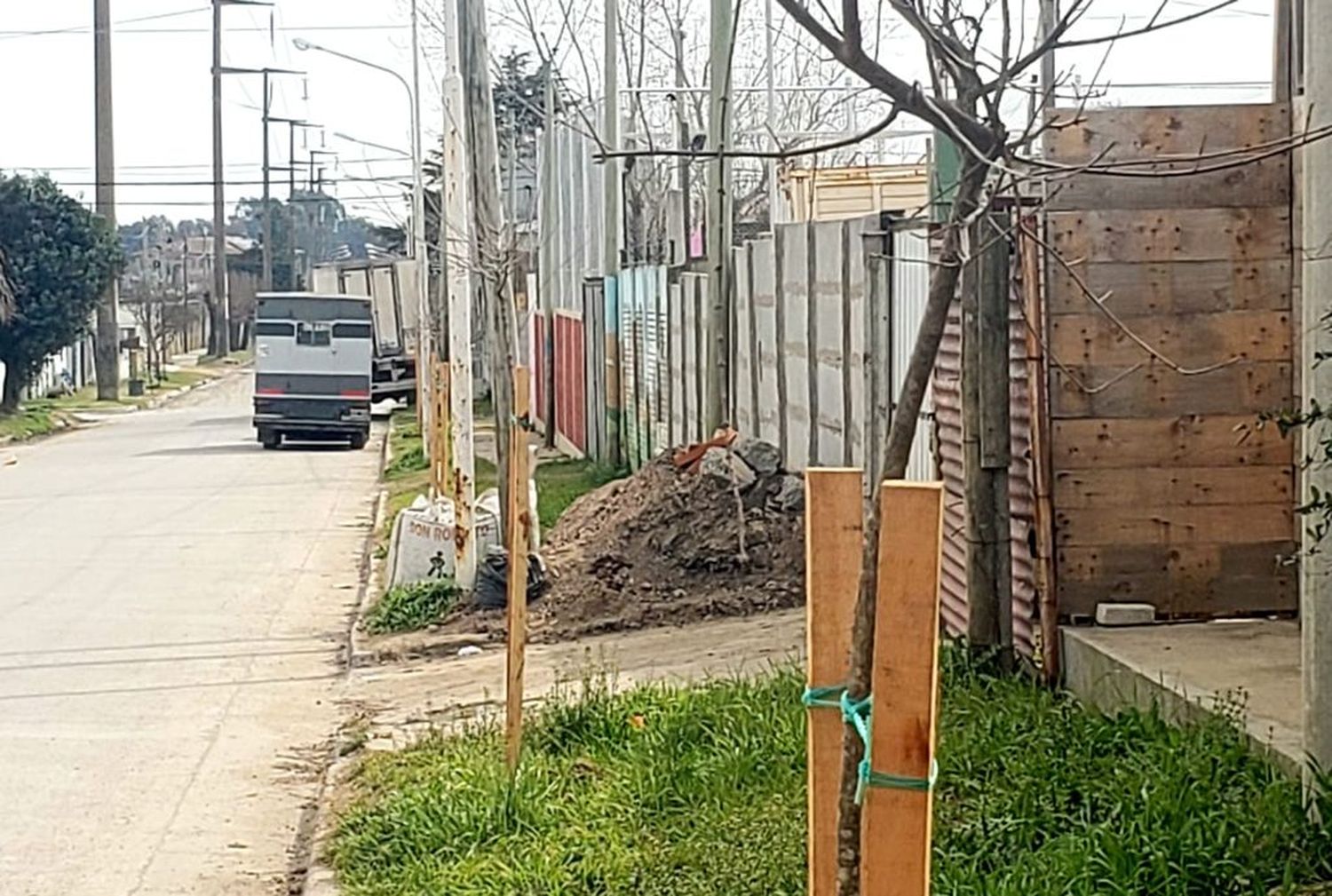 El Municipio avanza con la plantación de cientos de árboles en los barrios al norte de la Ruta 226