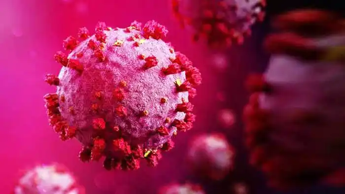 El coronavirus se comporta como una enfermedad de transmisión sexual