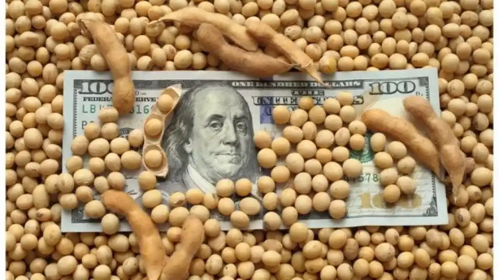 El aporte de retenciones del agro en 2026 tendría una leve baja frente al 2025.