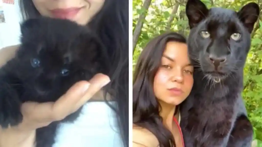La historia de la chica y su felino se ha viralizado en redes sociales.