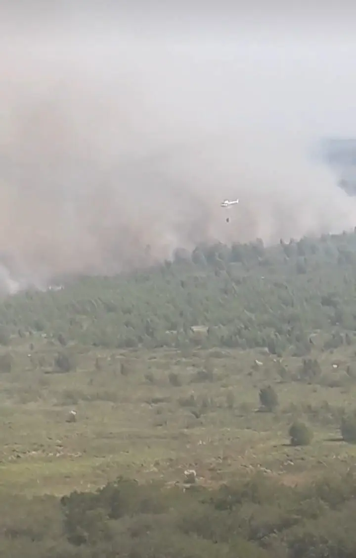 Fuego a metros de Atucha: El comunicado sobre los focos de incendios cercanos a la planta nuclear