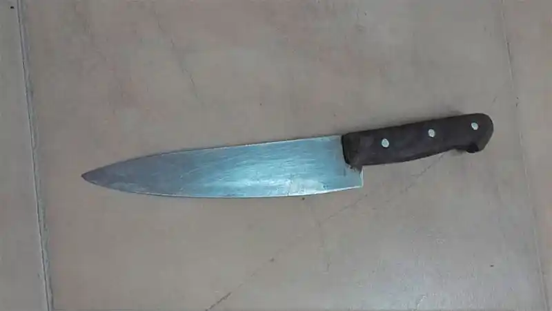 Amenazó de muerte a su madre con una cuchilla y fue detenido