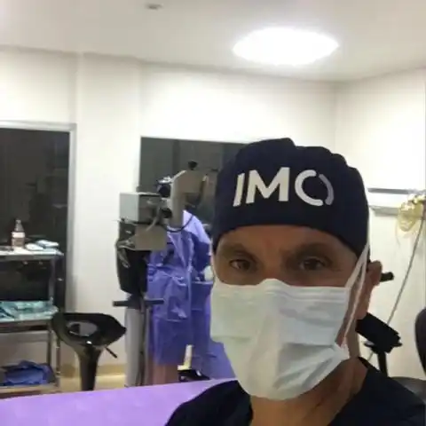 IMO: su funcionamiento y actividades
