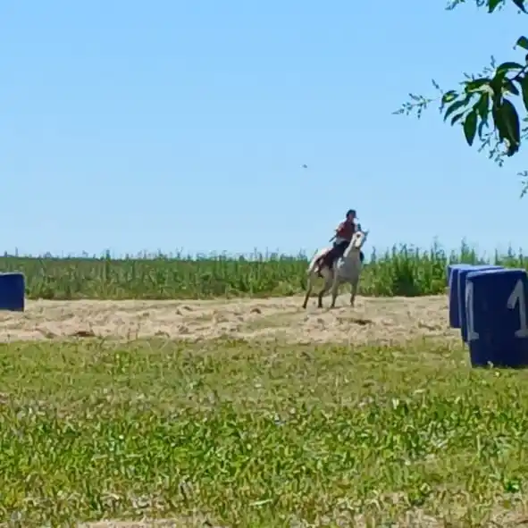 dia de la tradición