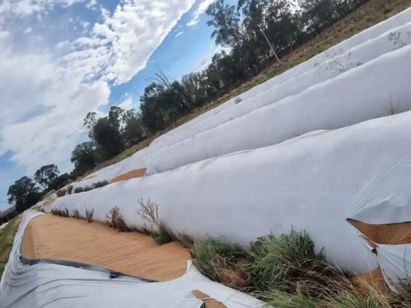 Ataque vandálico en Puán: Dañaron 51 silobolsas con 10 mil toneladas de cereal