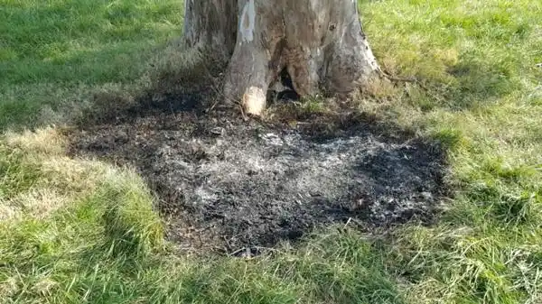 Hallaron a una mujer calcinada dentro de una valija en Ruta 2