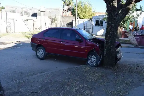 Una mujer se estrelló contra un árbol cuando transitaba con sus nietas