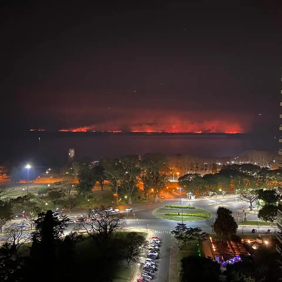 Incendios en el Delta: El Fiscal Federal ordenó la captura de los propietarios