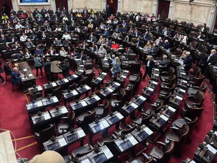 Diputados rechazó el veto a la Ley de Emergencia en Discapacidad