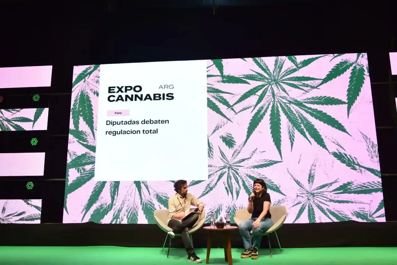 Gaillard planteó la necesidad de debatir la despenalización del consumo de drogas