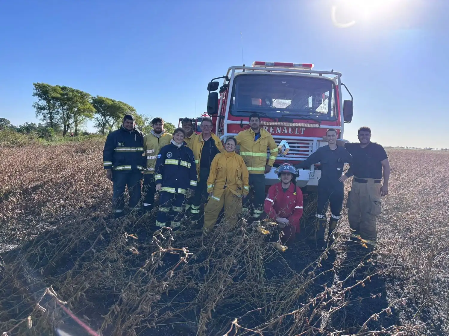 Cayó un poste eléctrico en un campo sembrado con soja y provocó un incendio - 3