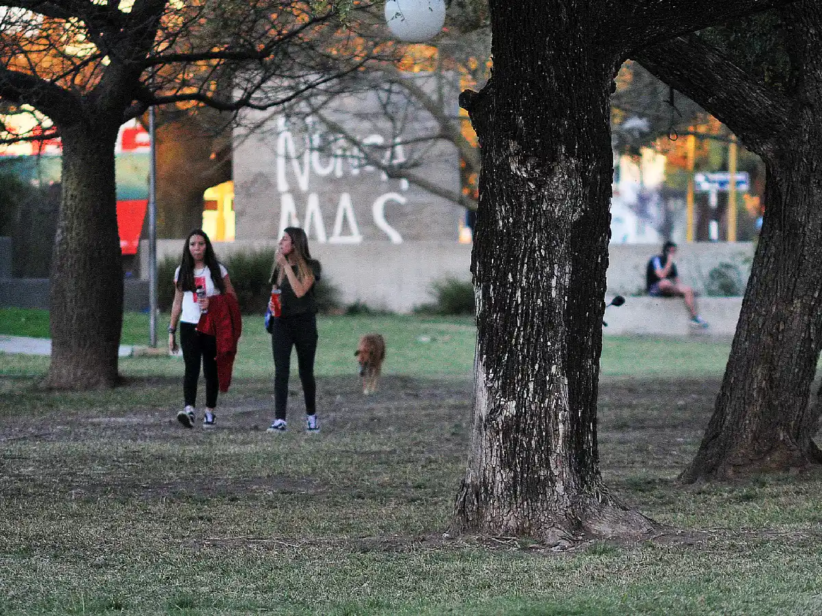 Caminar vuelve al cerebro más creativo y cura las penas