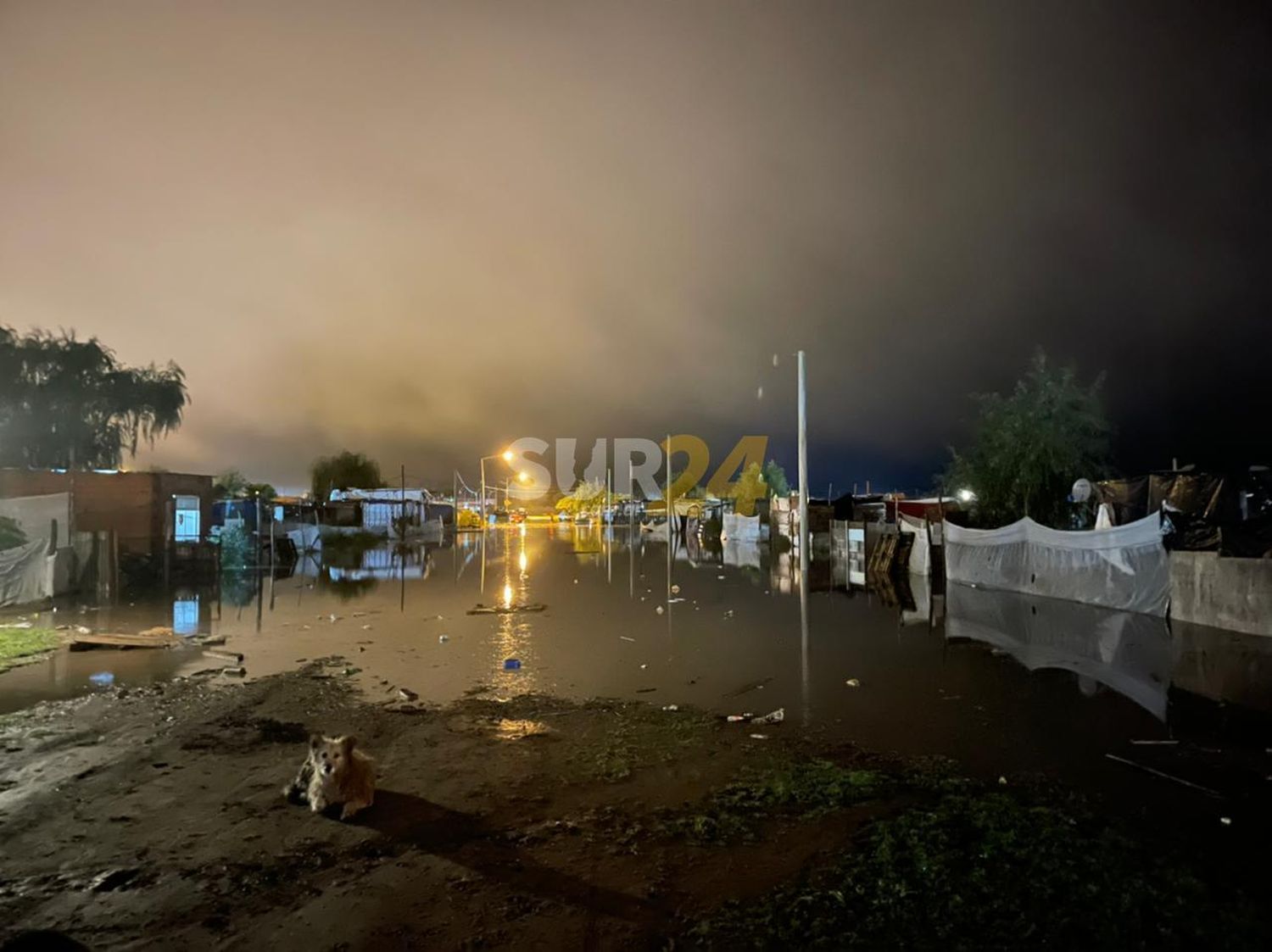 Fuertes lluvias causaron estragos en la precariedad de Villa Moisés