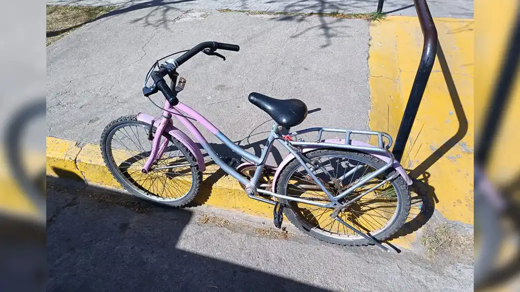 Robó una bicicleta en la Escuela Roca y lo detuvieron