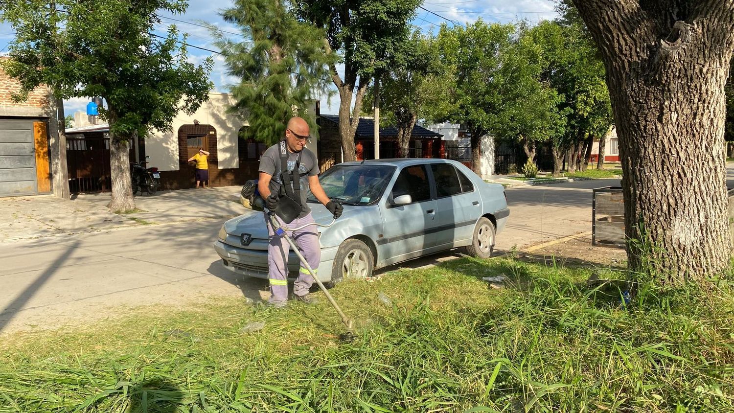Preocupa la cantidad de baldíos con pastos altos