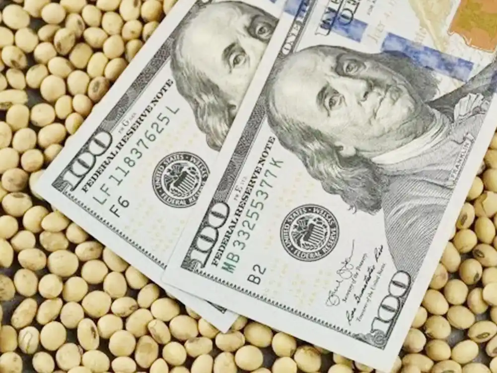 Fin del cepo cambiario: qué precio le pondrán al dólar los exportadores para su liquidación