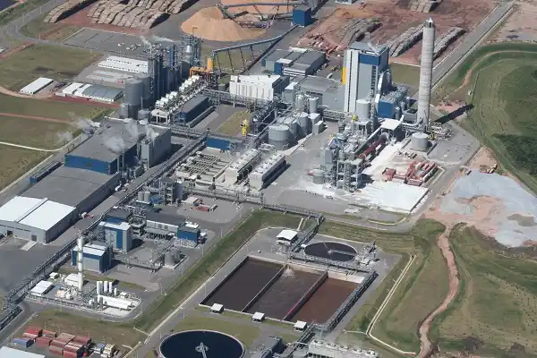 UPM: Denuncian altos valores de químicos en zona de efluentes 