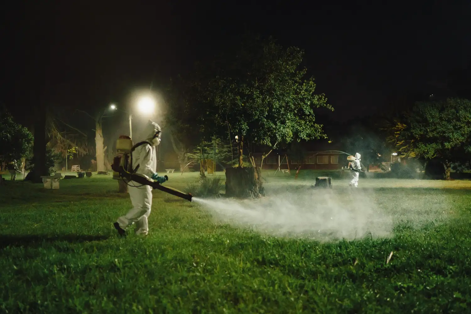 En Mar del Plata confirmaron el primer caso de dengue autóctono, pero finalmente fue desmentido tras una serie de análisis.