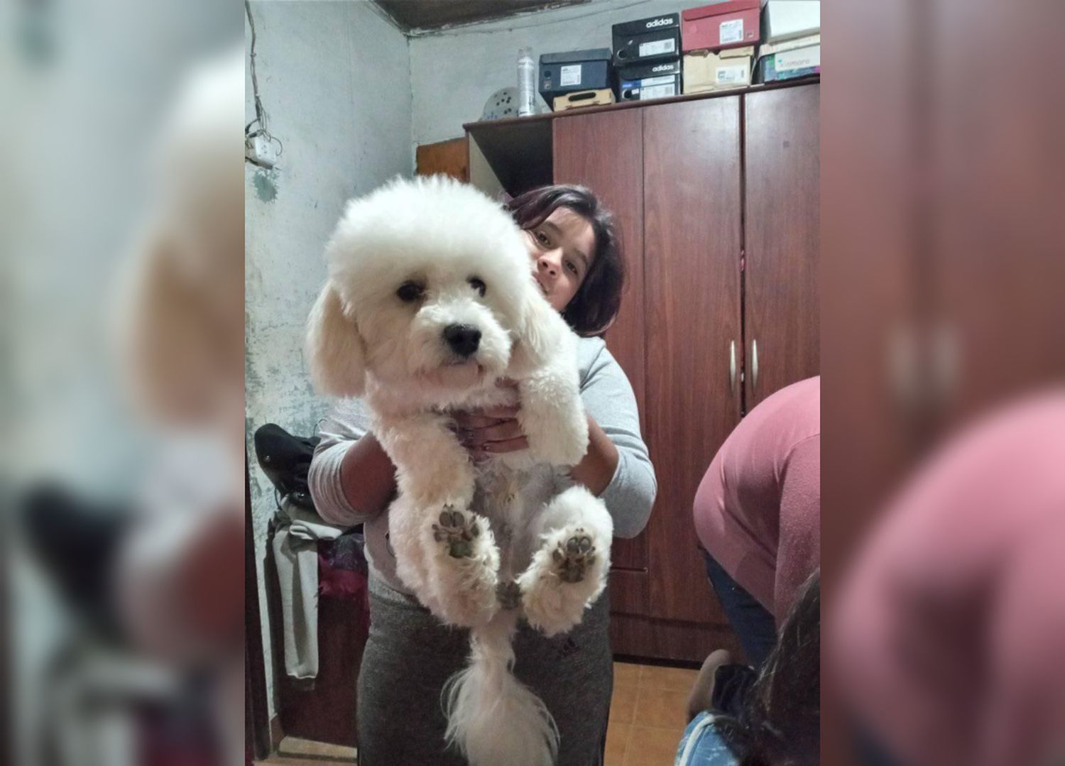 Yoselin perdió a su perro