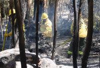 Incendio en las sierras: finalizó la guardia de cenizas y el fuego está controlado