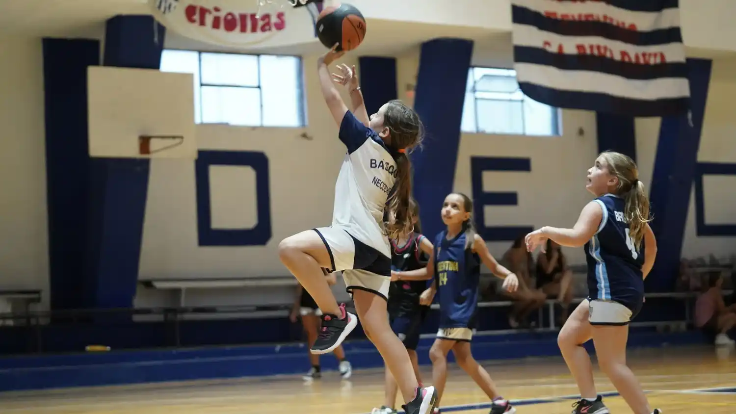 "Hasta que cante el gallo" - Piso de los deportes (Básquet)