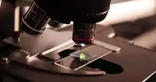 Cuidemos la ciencia y la tecnología