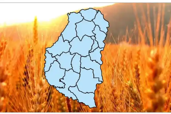 El campo entrerriano necesita 100 milímetros de lluvias en octubre y noviembre