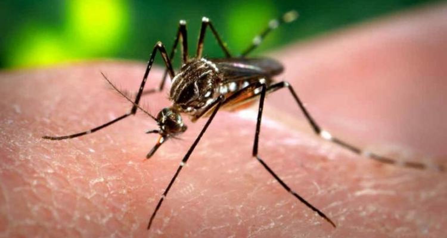 Detectaron un caso de dengue y fumigarán alrededor de la casa del damnificado