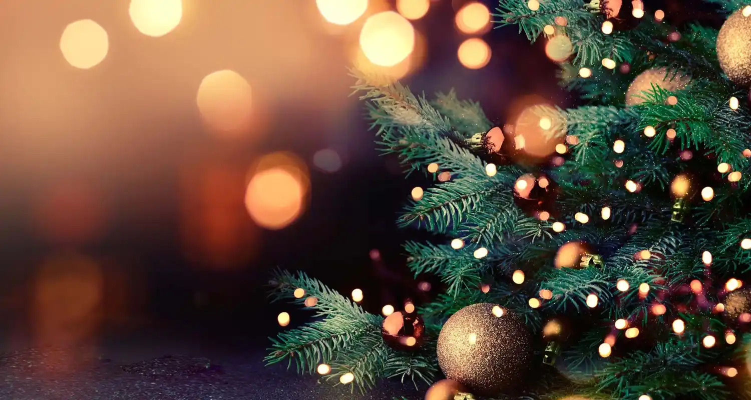 Un tiempo sin tiempo, la gloria de la Navidad