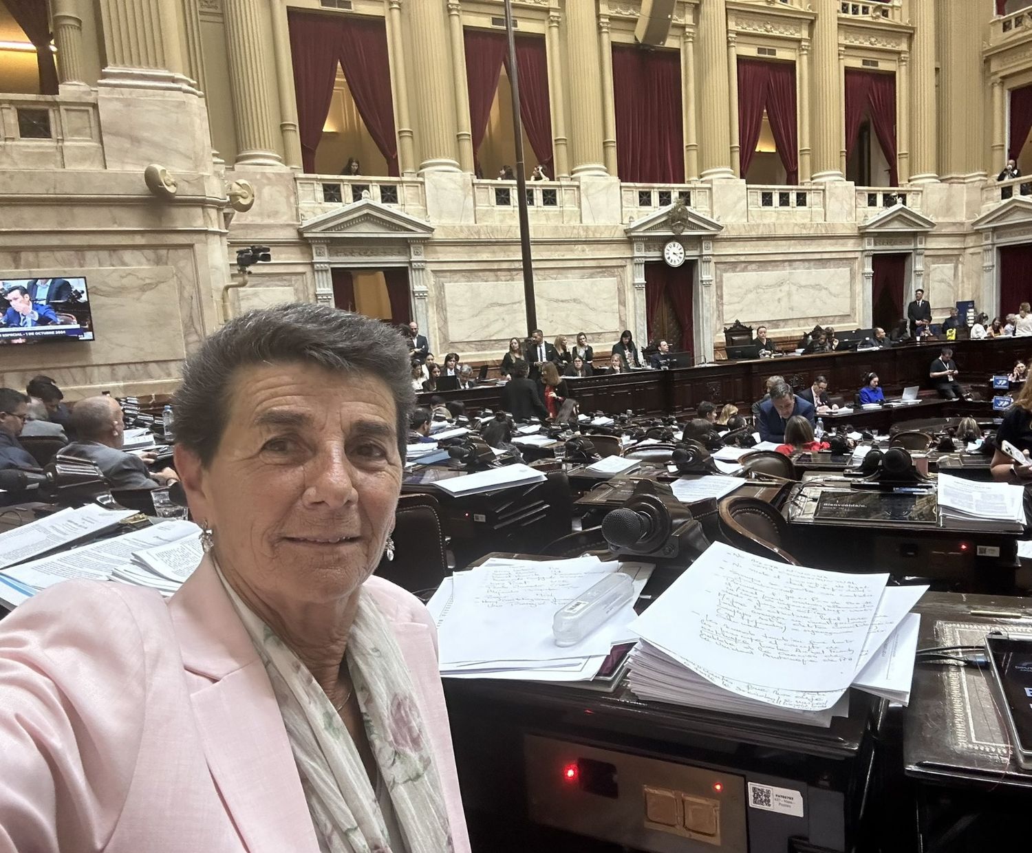 Una diputada bonaerense presentó un proyecto para que las fotomultas de tránsito prescriban al año: “Basta de curros”