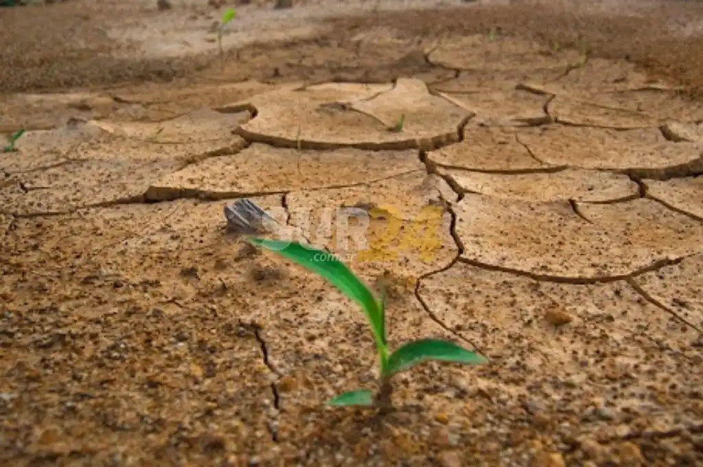 Finalmente, la provincia de Santa Fe tiene Ley Yolanda
