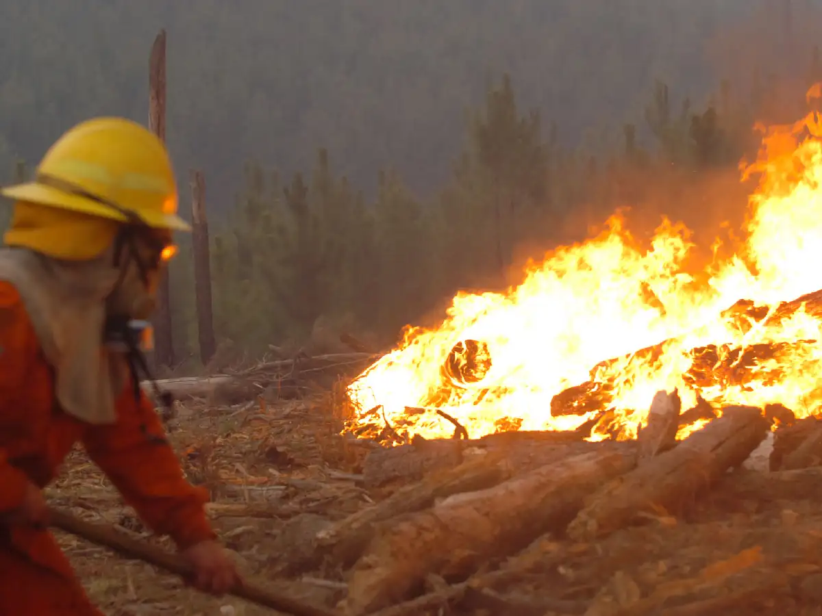 Mantienen el alerta "extremo" por incendios que ya afectan a más de 1.500 hectáreas