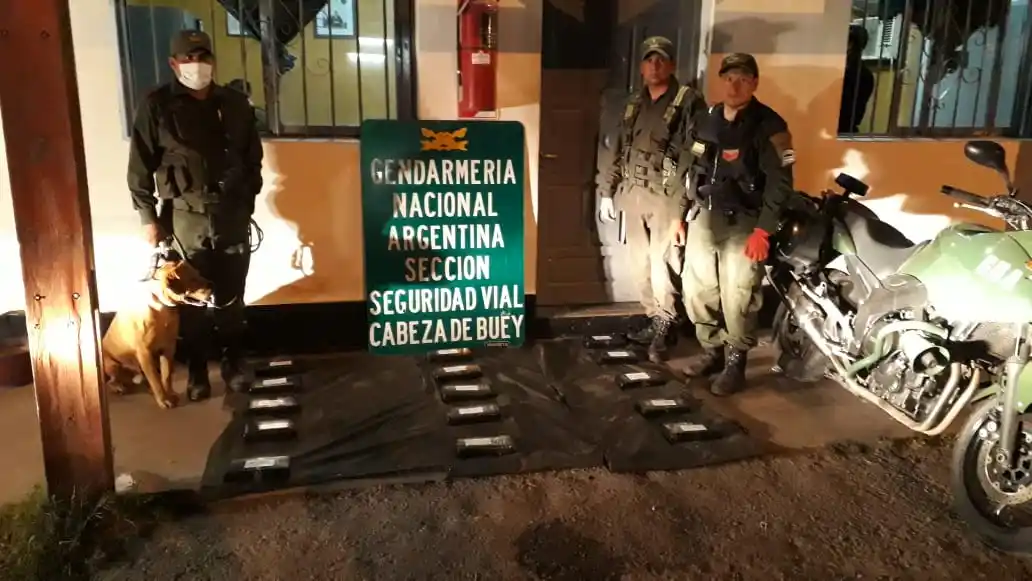 Salta: incautamos más de 21 kilos de cocaína