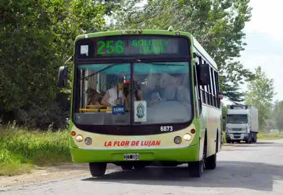 Línea 256