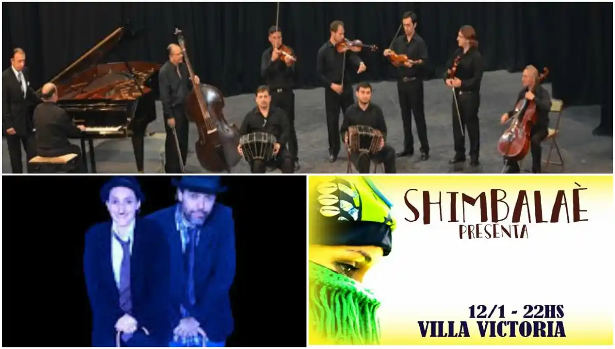 Actividades de Cultura Mar del Plata