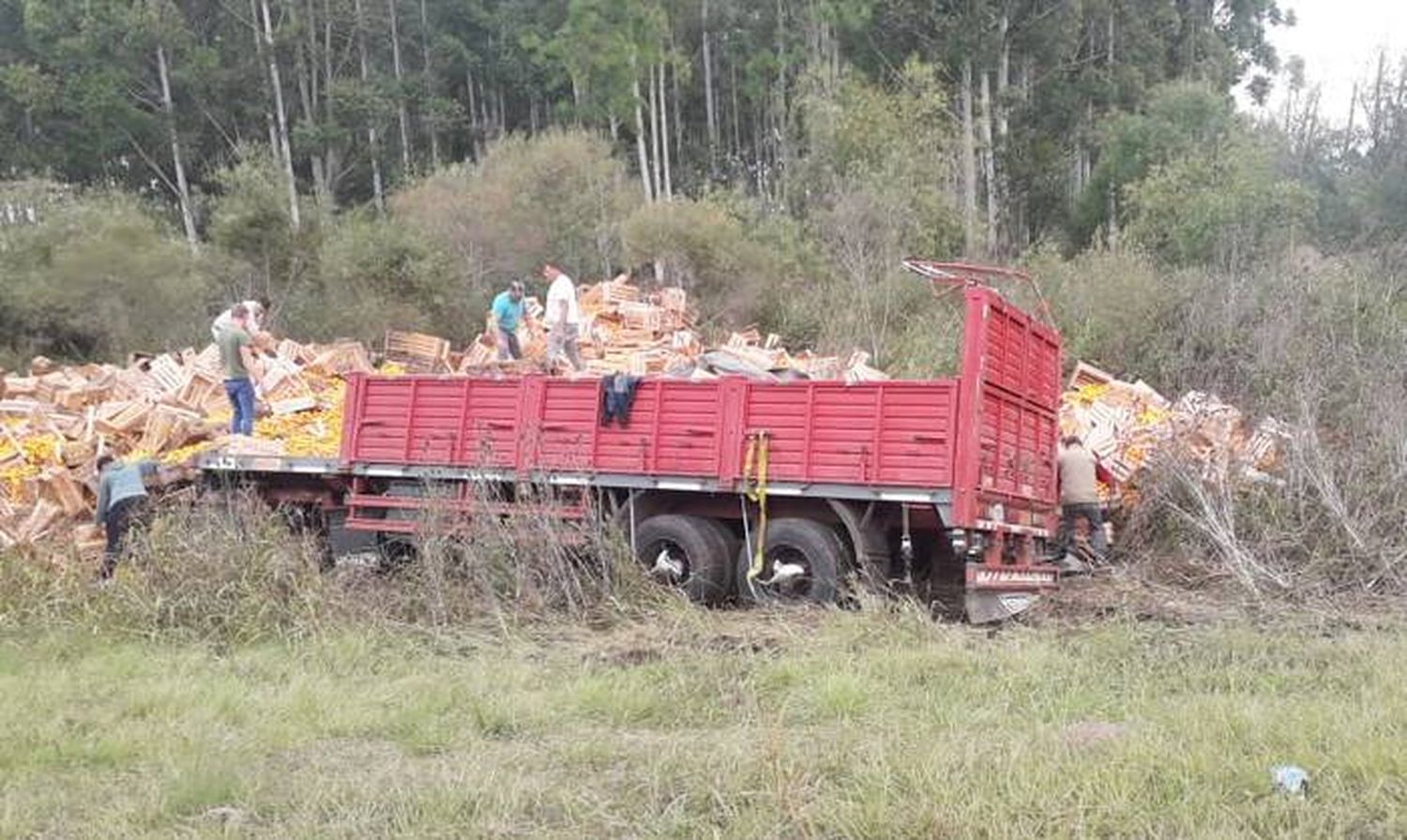 Camión conducido por un chajariense volcó su  acoplado cargado con  cítricos en la Autovía 14