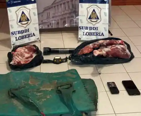 Cuatrerismo en campos de Lobería: secuestran armas