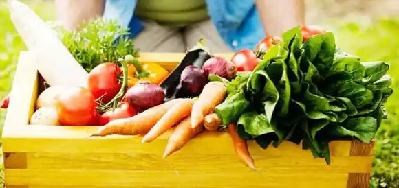 ¿Qué es la Producción Orgánica?