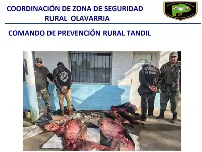 Arrestaron a dos hombres con carne faenada: Uno de ellos tenía pedido de captura