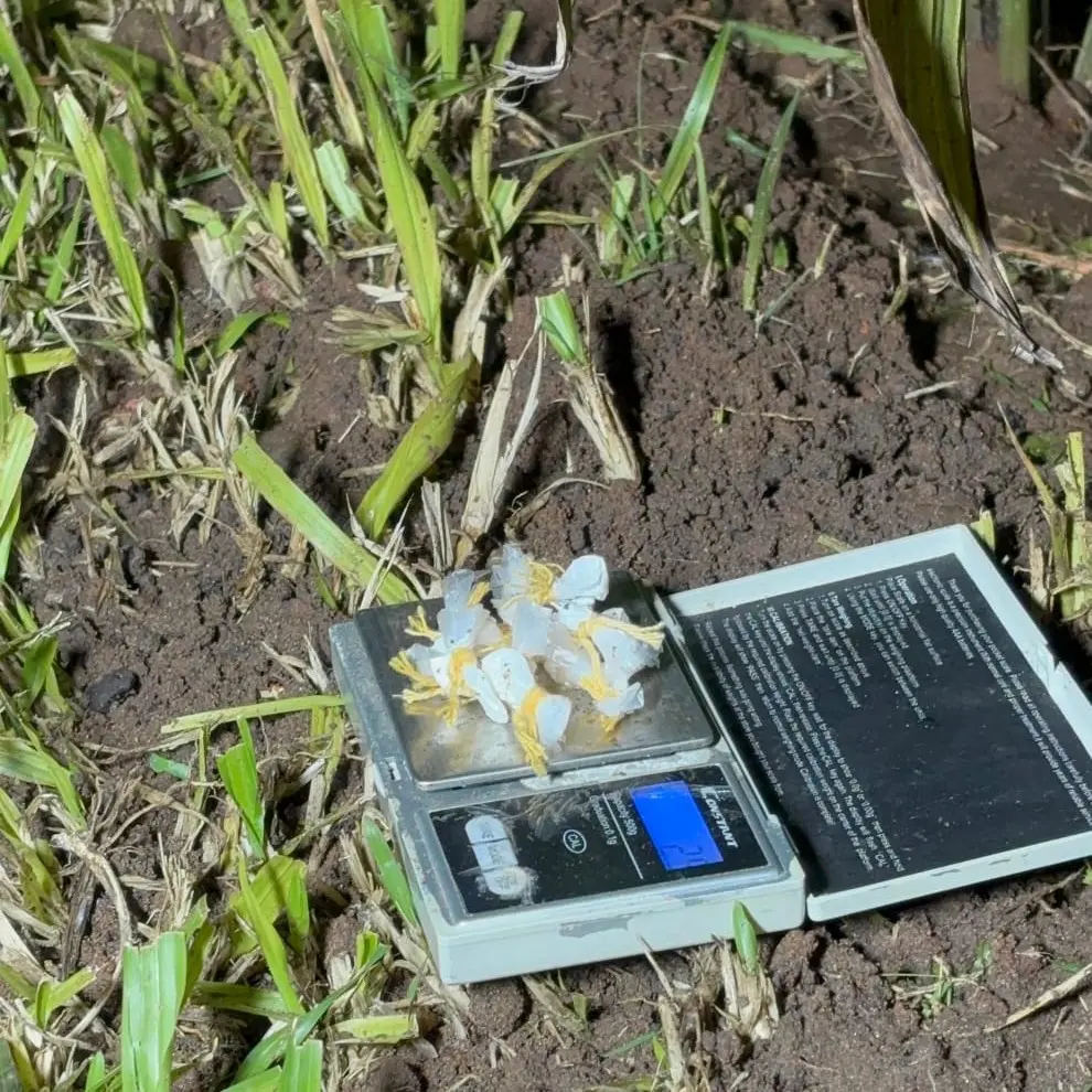 Operativo saturación: secuestran cocaína, una tumbera y detienen a dos hombres